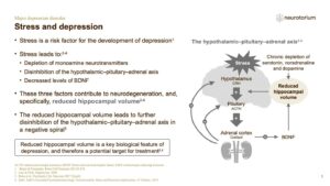 Major Depressive Disorder - Neurobiology and Aetiology - slide 31